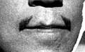 Sin mover el bigote