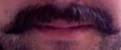 Sin mover el bigote