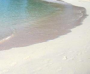 El precio de la virginidad