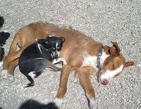 Un caso muy especial