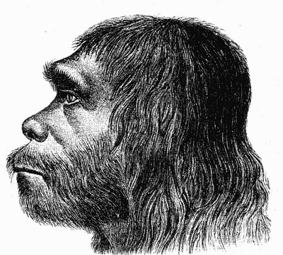 La extinción de los Neandertales podría no haber sido culpa de los Homo sapiens