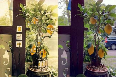 Fotografía e ilustración