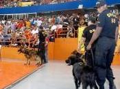 Consumo drogas Basket Superior Santiago preocupa fanáticos