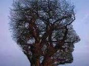 POEMA ÁRBOL escribir poema hable u...