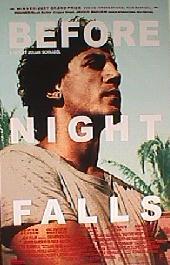 Antes de que anochezca...