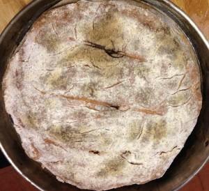 pan amparo Pan integral de espelta de levadura madre de Amparo Romagosa, Madrid, una seguidora fiel de la Nutrición MacrobiotiVa.