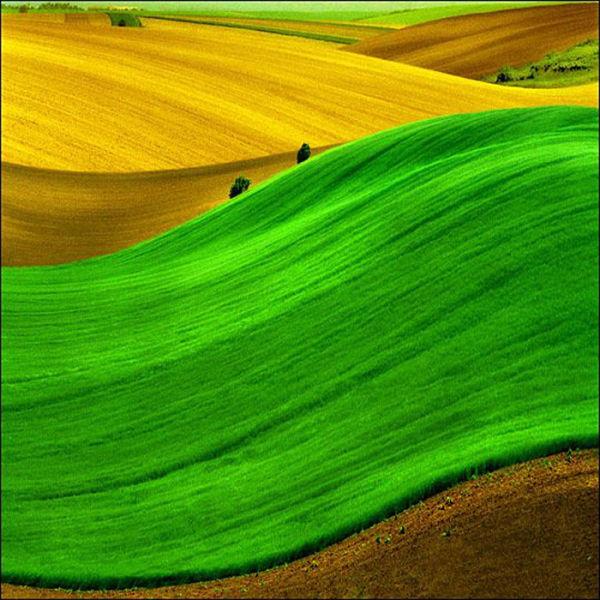 Fotografía de contraste