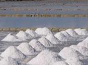 salinas Trapani