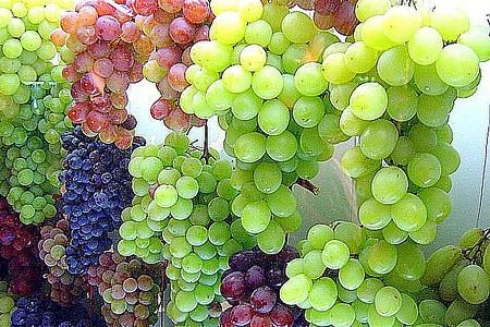 Dieta para no acumular celulitis