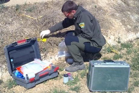 Agentes de Protección de la Naturaleza del Gobierno de Aragón localizan cebos envenenados en el municipio de Binéfar