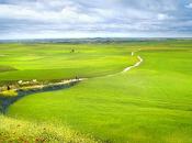 todas personas sostienen deseo intención suprema