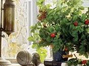 Muros rusticos piedra