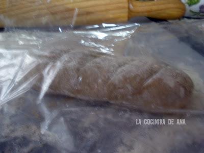 PAN DE CENTENO (En bolsa de asar)