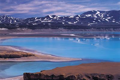 DOS VINOS INTERNACIONALES QUE DEBERÍAS PROBAR.