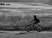 bicicletas para verano