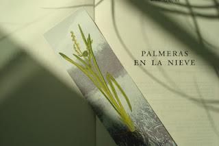 'Palmeras en la nieve', de Luz Gabás