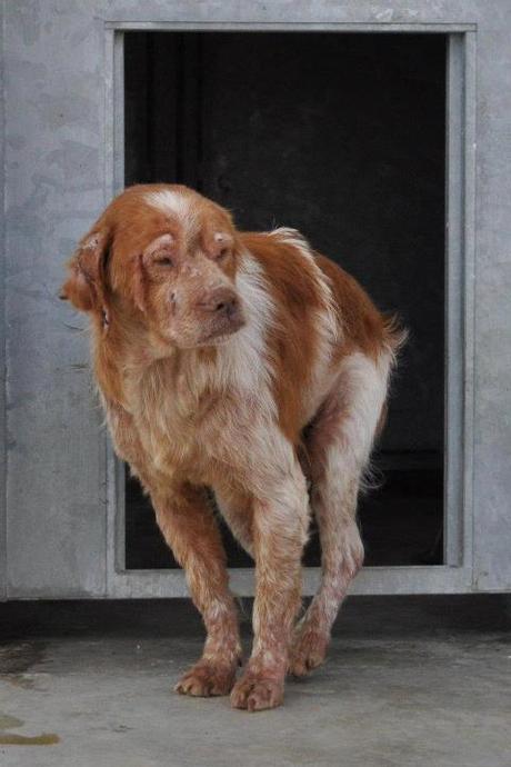 Berti... su vida acabara el 12 si no lo evitamos