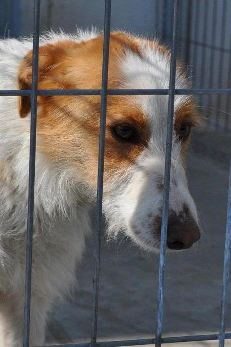 Lupita, la matan el 10