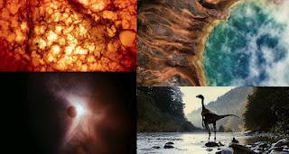 PREMIOS PALITOH 2011: Nominados