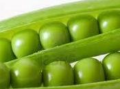 Guisantes verdes frescos: pequeña joya alimentación