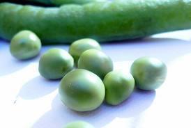 g169 Guisantes verdes frescos: una pequeña joya de la alimentación