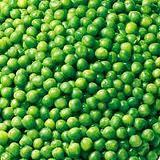 g250 Guisantes verdes frescos: una pequeña joya de la alimentación