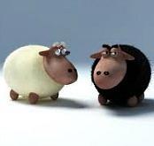 blck_sheep_1_.jpg