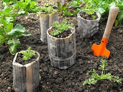 Macetas de papel biodegradable