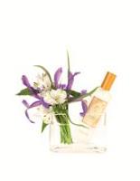 Fragancias para la primavera