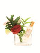 Fragancias para la primavera