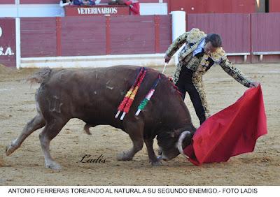 CORRIDA DE TOROS EN LUCENA