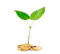 emprendimiento sustentable