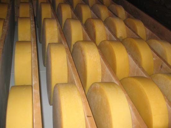 Suiza, Más que Queso y Chocolate…