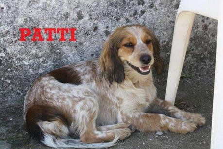 Patti, muy jovencita y ya desechada por el cazador