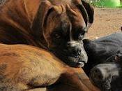 Necesito ayuda urgente!!‏