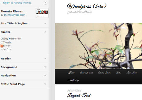 Añadir tus propias opciones en Theme Customizer de WordPress 3.4