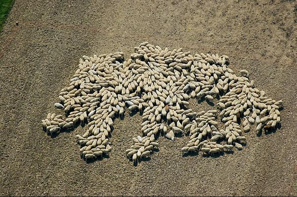 Aerial Photography :: fotografías de Klaus Leidorf