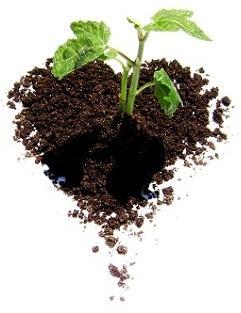 Hygiéne Plántame (again), te doy permiso