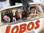 Lobos Arga sigue cosechando premios internacionales