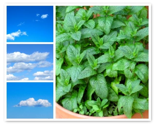 Sólo hay que mirar…