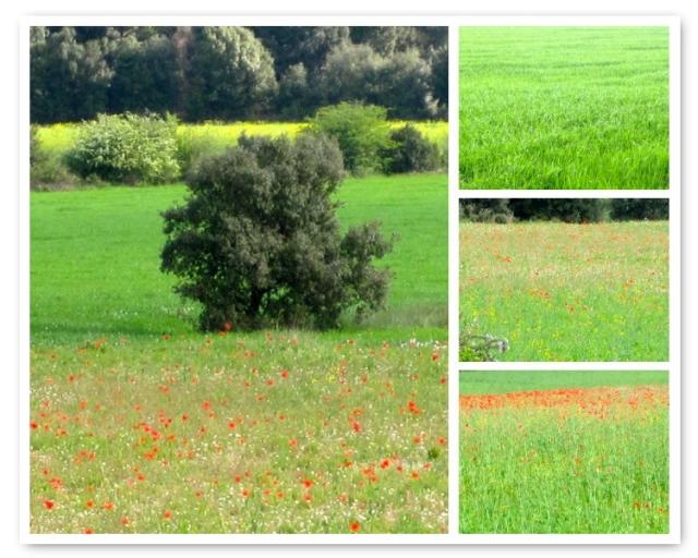 Sólo hay que mirar…