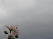 joven ciega- vida regalo