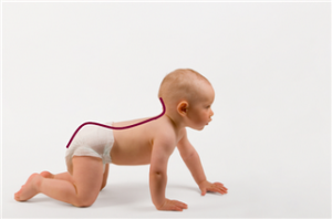 Lordosis cervical e inicio de la lumbar