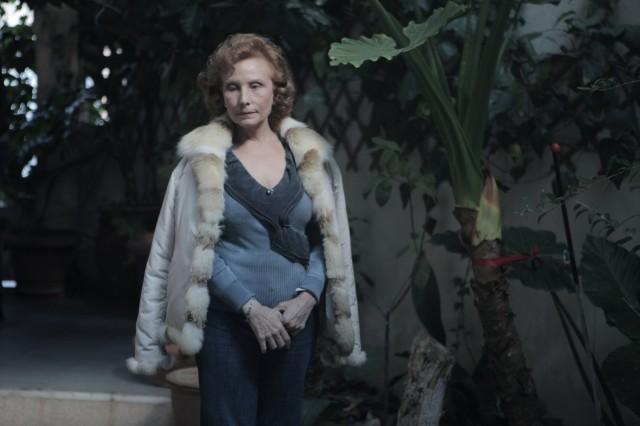 Alpes: el disfraz de la falsa inoperancia