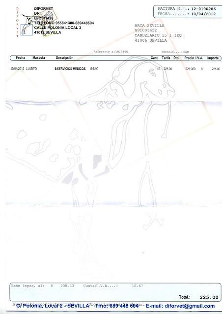 LA VIDA DE LUISITO VALE 700 EUROS ¿LO DEJAMOS MORIR? (SEVILLA)