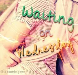 Waiting On Wednesday #1