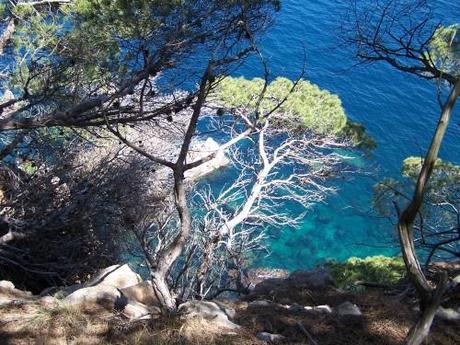 Los Viajes de Viper – L’Escala