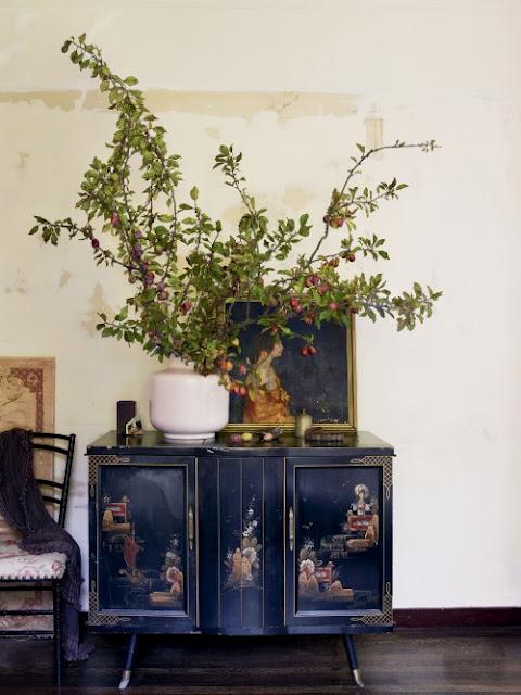 Traer la naturaleza a casa / Bringing Nature Home