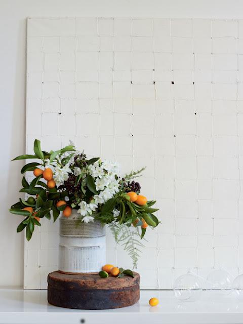 Traer la naturaleza a casa / Bringing Nature Home