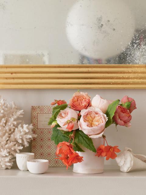 Traer la naturaleza a casa / Bringing Nature Home